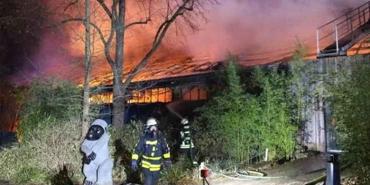 Polonya’da hayvanat bahçesinde yangın