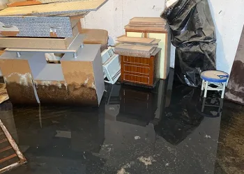 Biriken suda üreyen sivrisinekler tüm binayı sardı