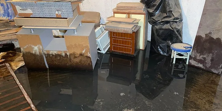 Biriken suda üreyen sivrisinekler tüm binayı sardı
