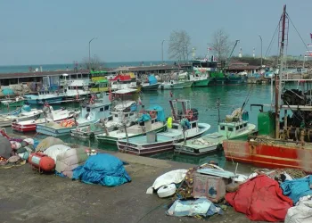 Balıkçılar sezonunu kapatıyor