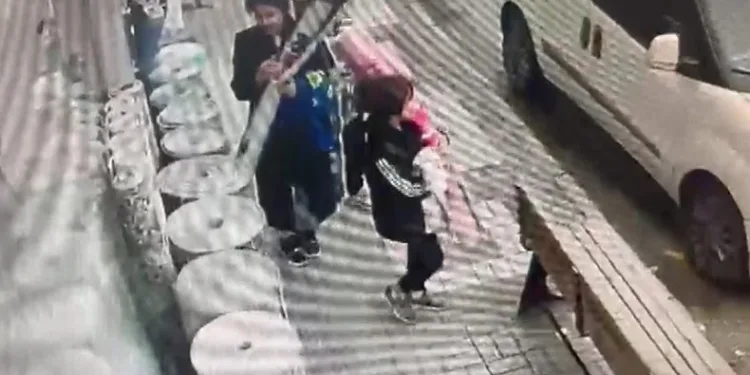 Ailece geldiler, müşteri gibi halılara bakarak çaldılar