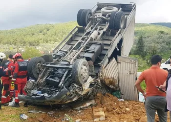 Yılın ilk çilek hasadı başladı