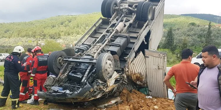 Yılın ilk çilek hasadı başladı