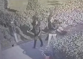Rezidansa girerek vurgun yaptılar