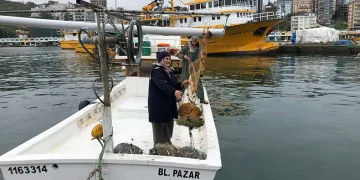 Yunusları elleriyle besliyorlar