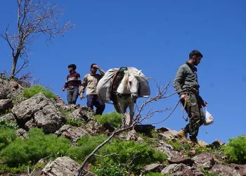 Terörün yerini huzura bıraktığı dağlar