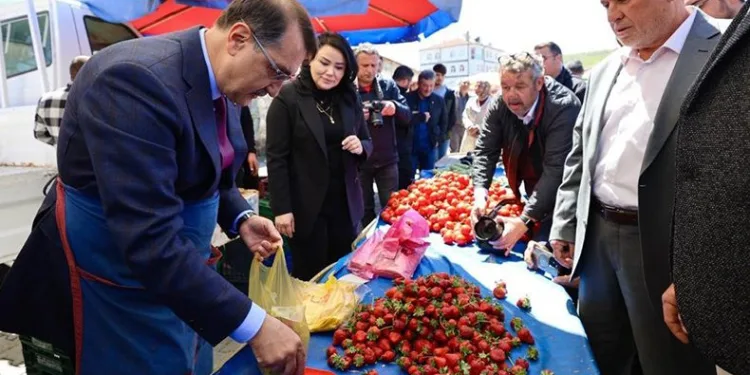 Bakan Dönmez çilek tezgâhının başına geçti