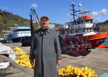 Balıkçıların yüzü palamut ile güldü