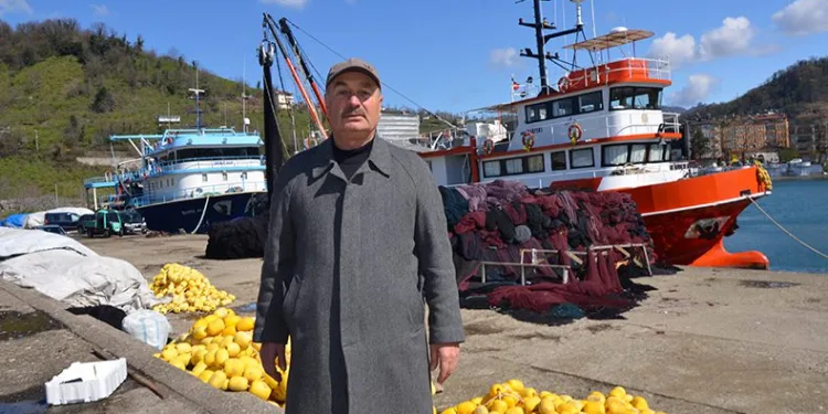 Balıkçıların yüzü palamut ile güldü