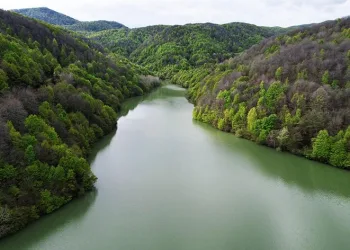 Ortaburun Tabiat Parkı