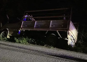 Bursa’da kamyonet sulama kanalına düştü