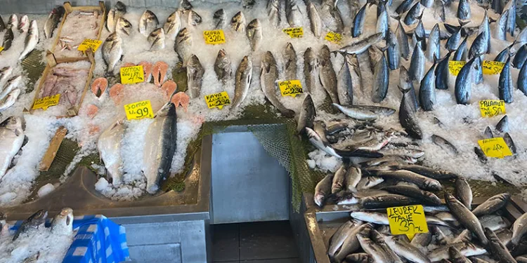 Balık fiyatları düştü