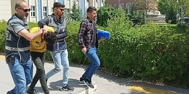 Katilinin elini ısırdı, yinede kurtulamadı