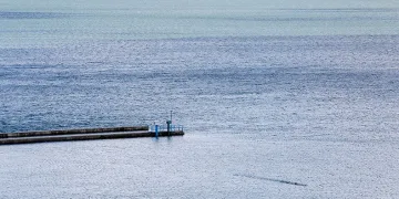 Sapanca Gölü’nden sevindiren haber
