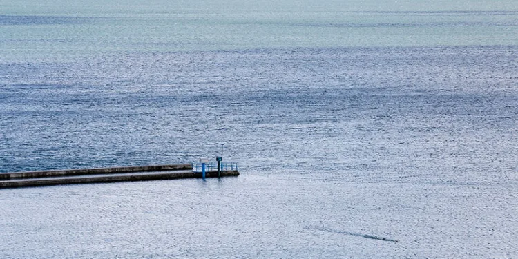 Sapanca Gölü’nden sevindiren haber