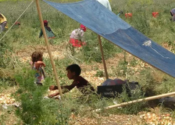 Hatay’da sıcak hava etkili oluyor