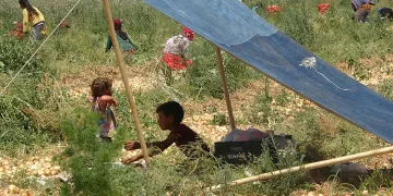 Hatay’da sıcak hava etkili oluyor