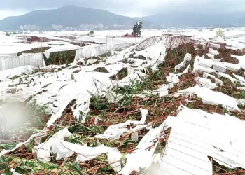 Hortumun vurduğu Anamur’da son durum