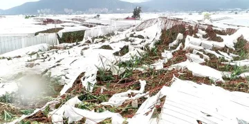 Hortumun vurduğu Anamur’da son durum