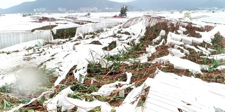Hortumun vurduğu Anamur’da son durum
