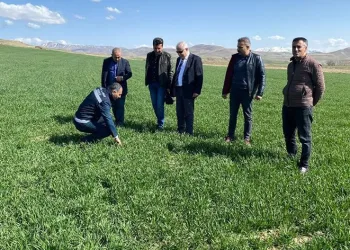 Mart ve nisan yağışları sevindirdi