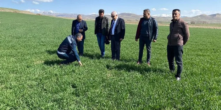 Mart ve nisan yağışları sevindirdi
