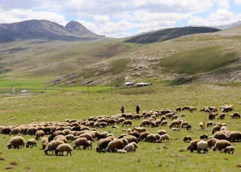 ‘Köyümde Yaşamak İçin Bir Sürü Nedenim Var’