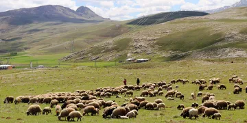 ‘Köyümde Yaşamak İçin Bir Sürü Nedenim Var’