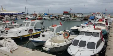Karabiga’da jumbo karides av sezonu