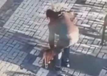 14 yaşındaki çocuk kediyi mama ile dövdü