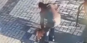 14 yaşındaki çocuk kediyi mama ile dövdü