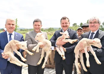 Balıkesir hayvancılığın en iyisi olma yolunda