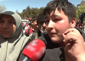 “Annenin erkek kardeşine dayı denir”