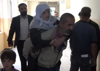 Annesini sırtında taşıyarak sandığa getirdi