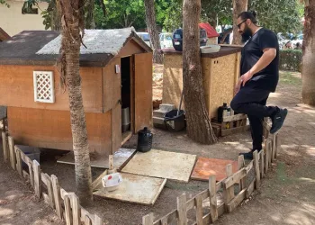 Sokak köpeği arama kurtarmada görev alacak