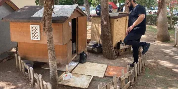 Sokak köpeği arama kurtarmada görev alacak
