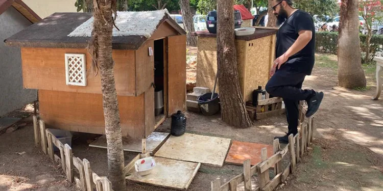 Sokak köpeği arama kurtarmada görev alacak