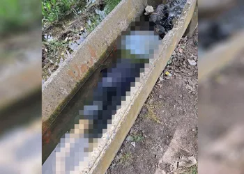 Sulama kanalında kadın cesedi bulundu