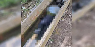 Sulama kanalında kadın cesedi bulundu