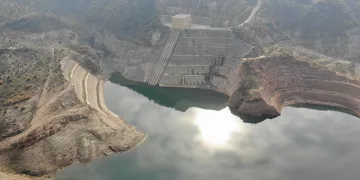 Son yağışlar çiftçilerin yüzünü güldürdü
