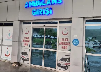 Yüksekten düşen kadın yaralandı