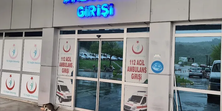 Yüksekten düşen kadın yaralandı