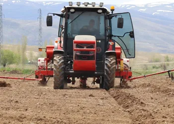 Ayçiçeği ekimi başladı