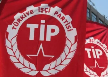 TİP 4 milletvekili çıkardı