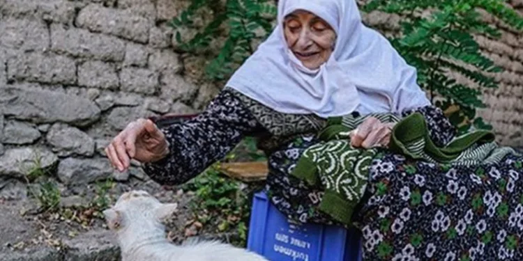 Sokak kedileri öksüz kaldı