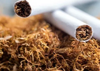 Sigarada 4 binden fazla kimyasal madde bulunuyor