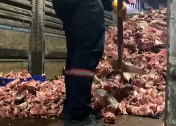 Bayrampaşa’da şoke eden görüntü