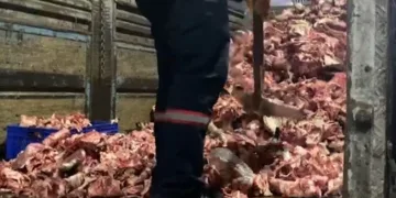 Bayrampaşa’da şoke eden görüntü
