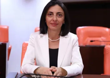 “Erdoğan’ın aldığı oy yüzde 55 civarındaydı”