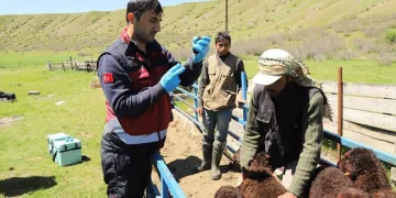 15 bine yakın aşı yapıldı